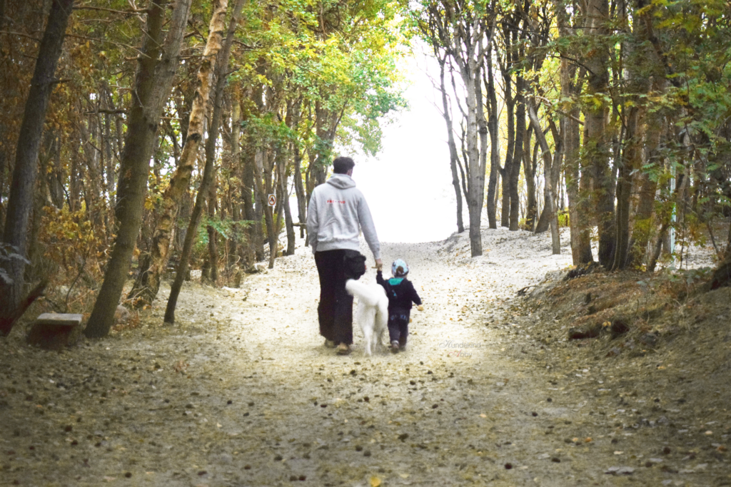 Mit Kind und Hund in Bakenberg