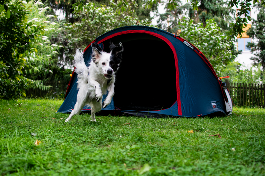 Camping mit Kind und Hund