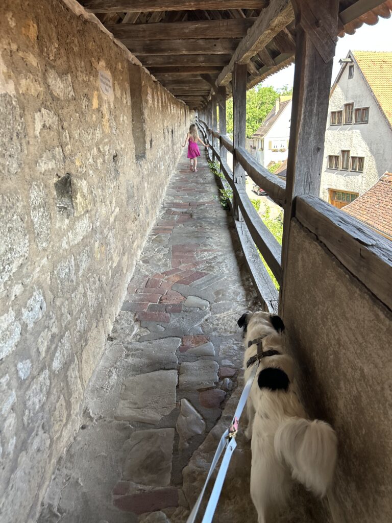 Rothenburg ob der Tauber mit Kind und Hund