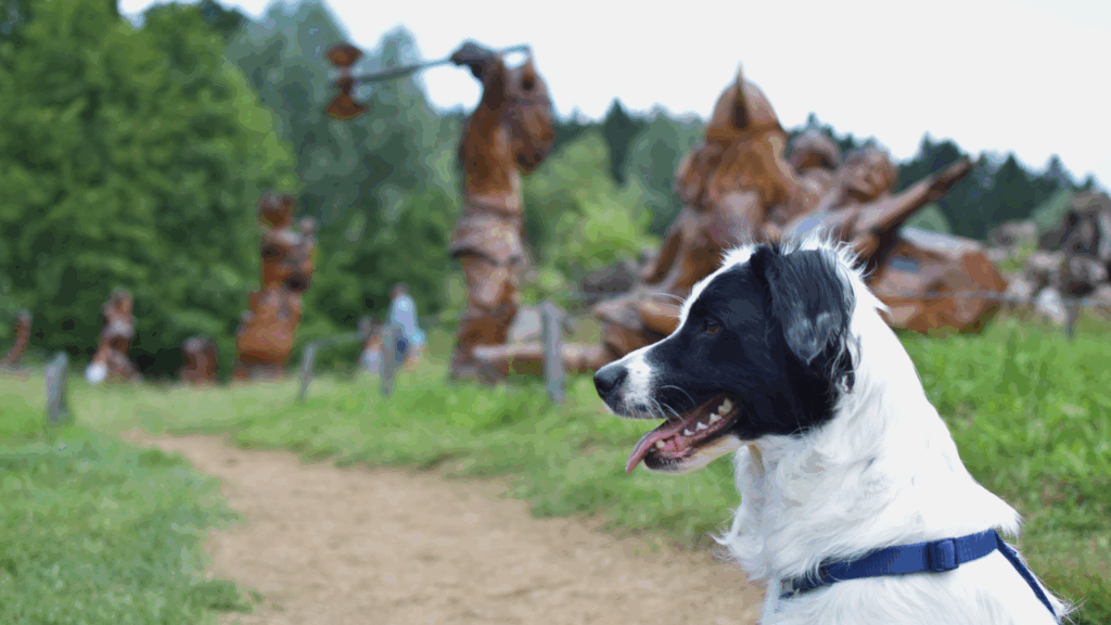 kinder- und hundefreundliche Ausflugsziele in Sachsen Blockhausen und Pixel