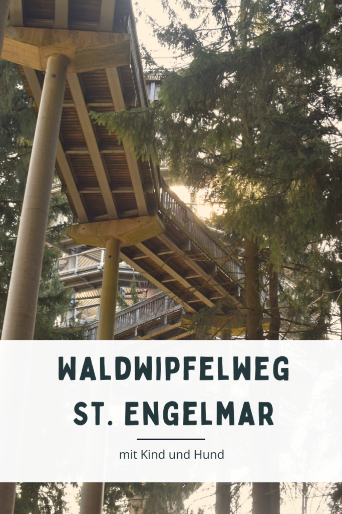 Waldwipfelweg St. Engelmar mit Kind und Hund