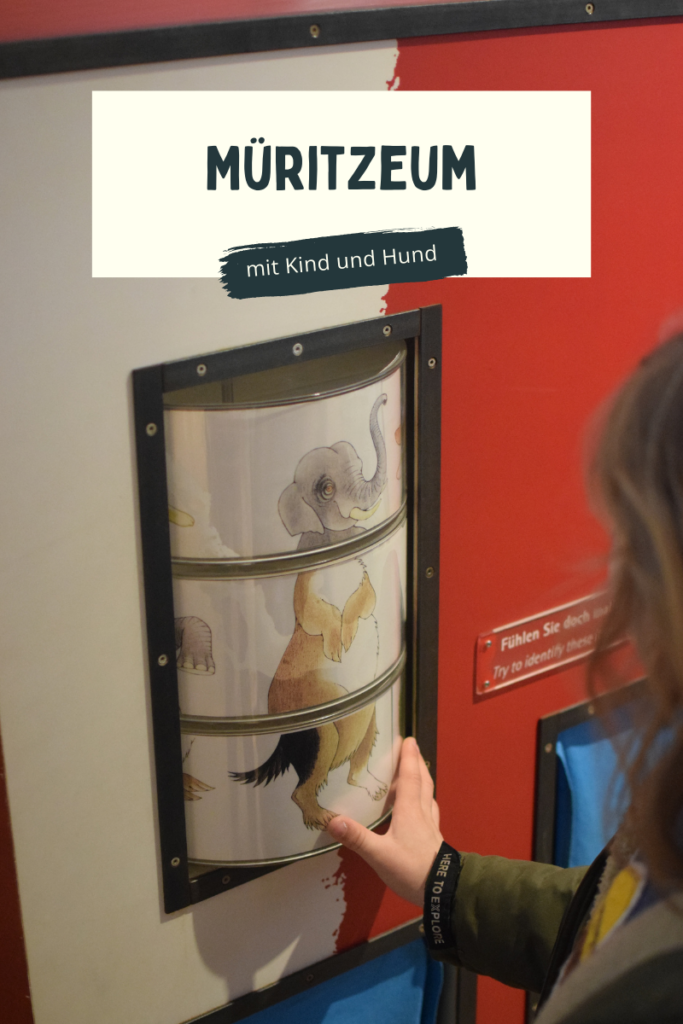 Müritzeum mit Kind und Hund