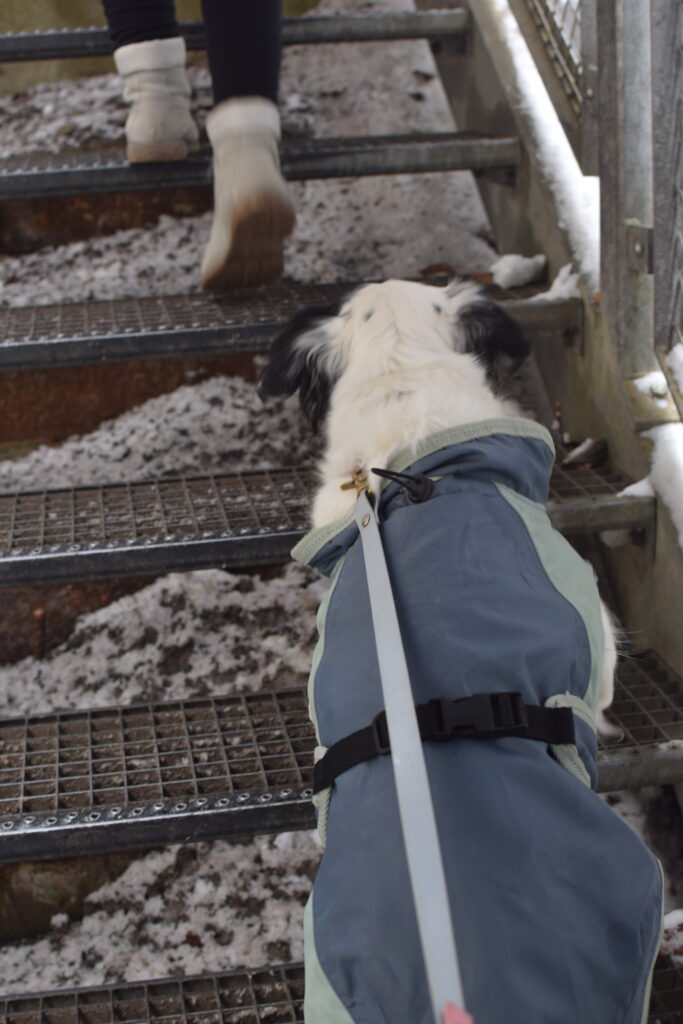 Breitachklamm mit Kind und Hund