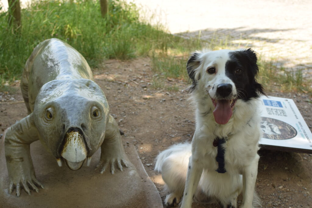 Saurierpfad mit Kind und Hund