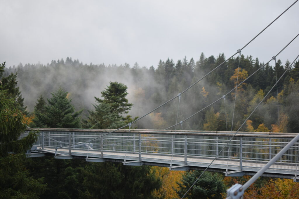 Waldwelt Skywalk Allgäu