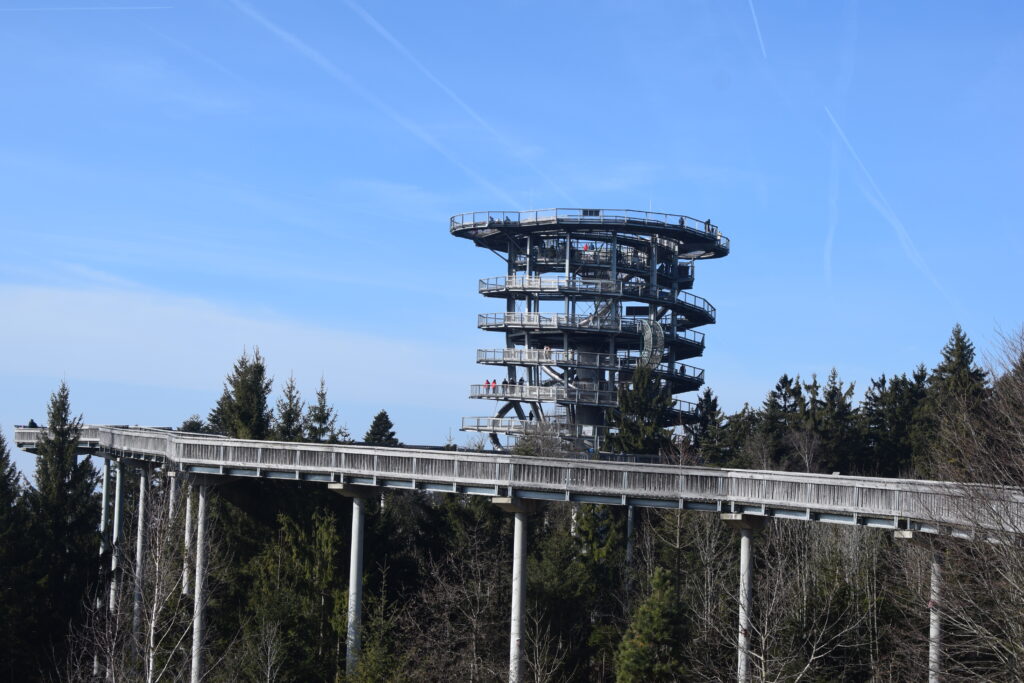 Waldwipfelweg St. Engelmar mit Kind und Hund