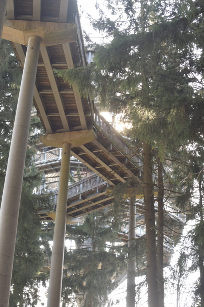 Waldwipfelweg St. Engelmar mit Kind und Hund