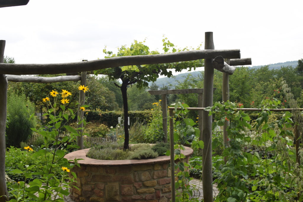 Finkenrech  mit Kind und Hund