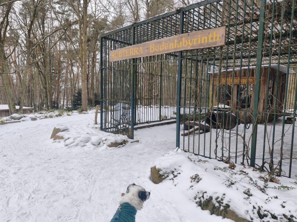 Wildpark MV mit Kind und Hund