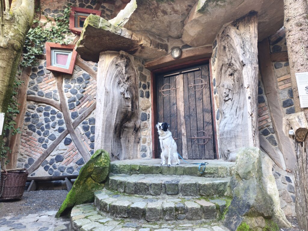 Geheime Welt von Turisede  mit Kind und Hund