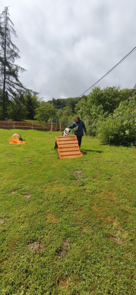 Fort Fun  mit Kind und Hund