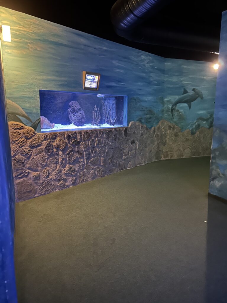 Meeresaquarium Zella-Mehlis mit Kind und Hund