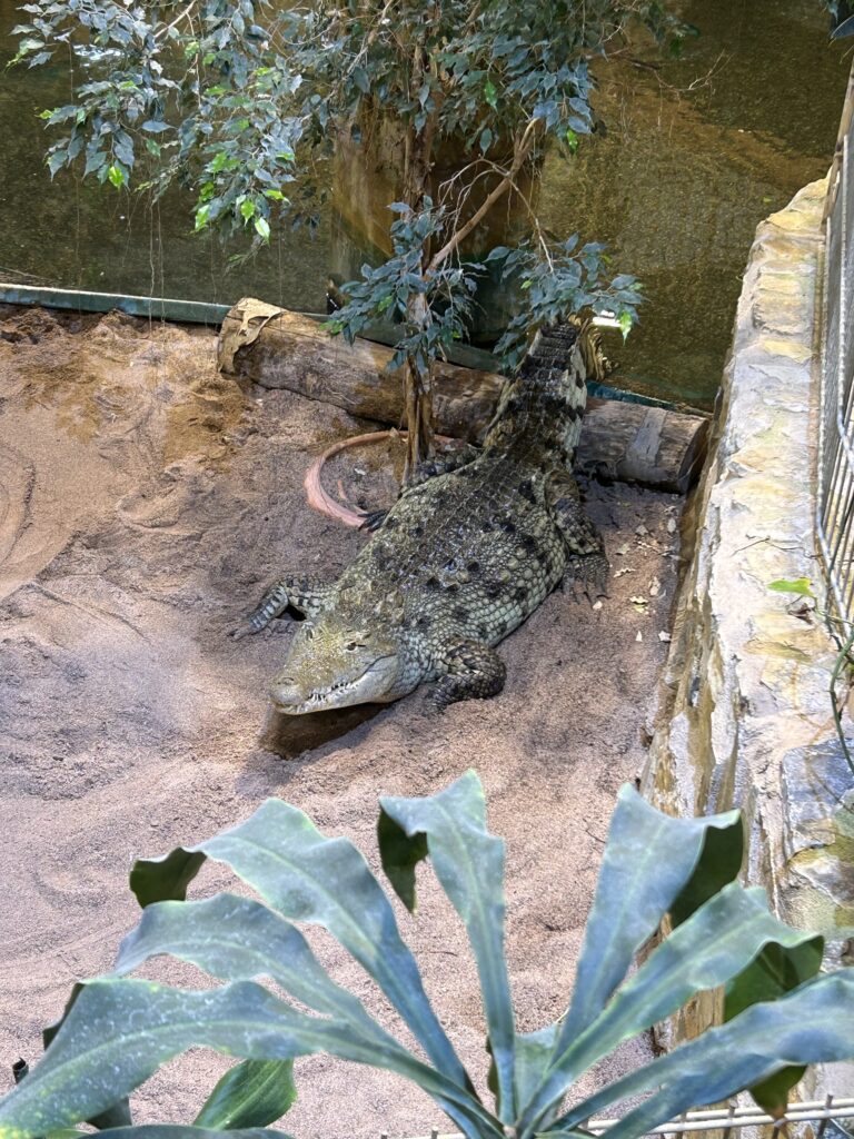 Meeresaquarium Zella-Mehlis mit Kind und Hund