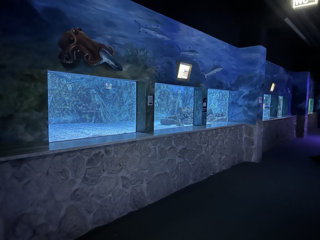 Meeresaquarium Zella-Mehlis mit Kind und Hund