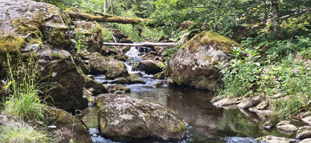 Steinklamm mit Kind und Hund
